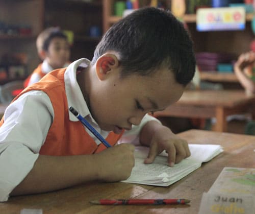 Education in Schools in Relation to Sustainability
