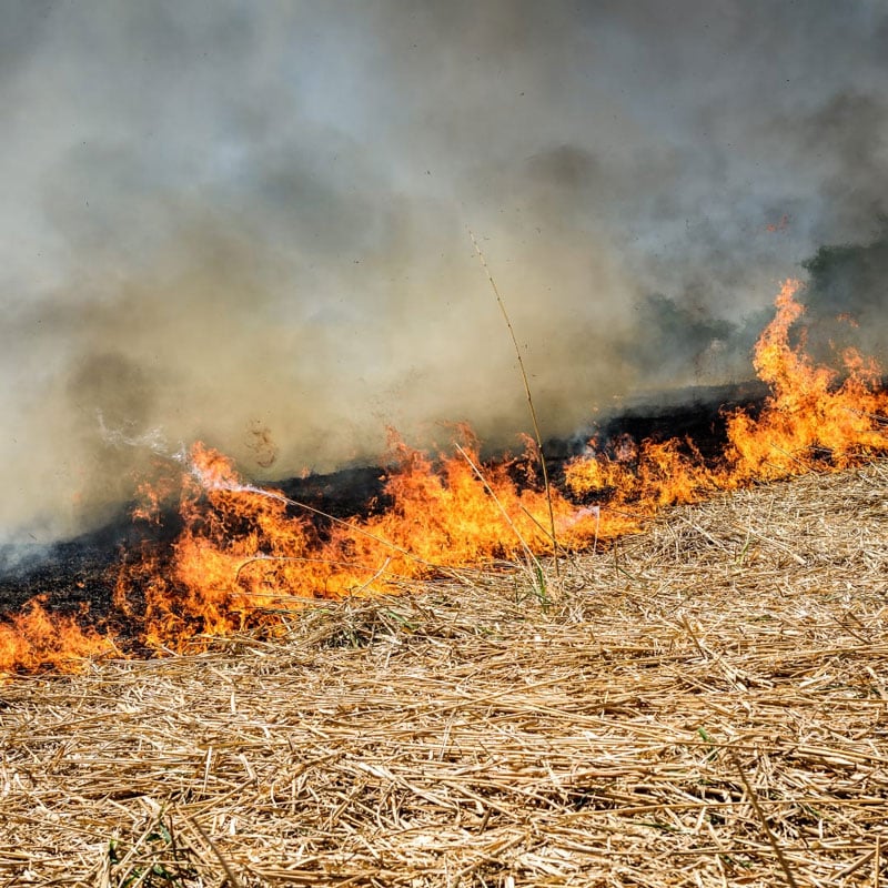 CSR consulting to reduce slash and burn agriculture in Indonesia