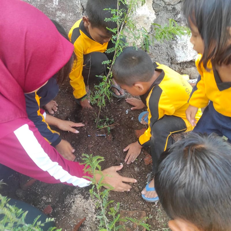 Tree planting with Our Goals CSR Consulting