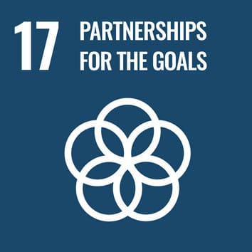 CSR consulting and the SDGs